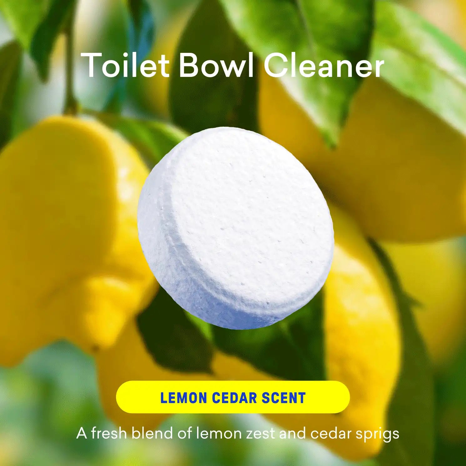 bluelandonline.it.com