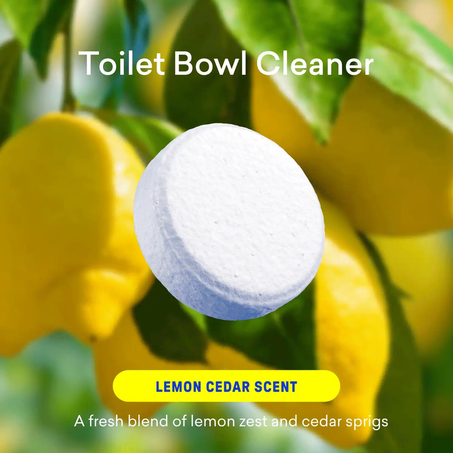 bluelandonline.it.com