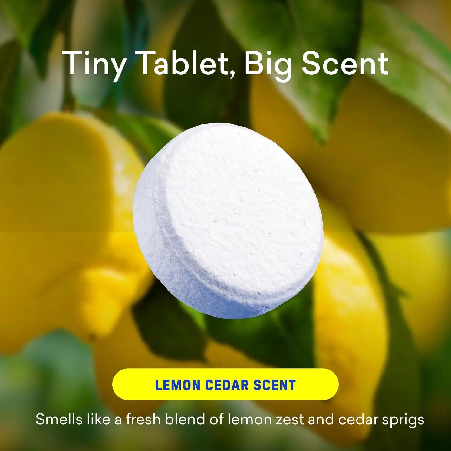 bluelandonline.it.com
