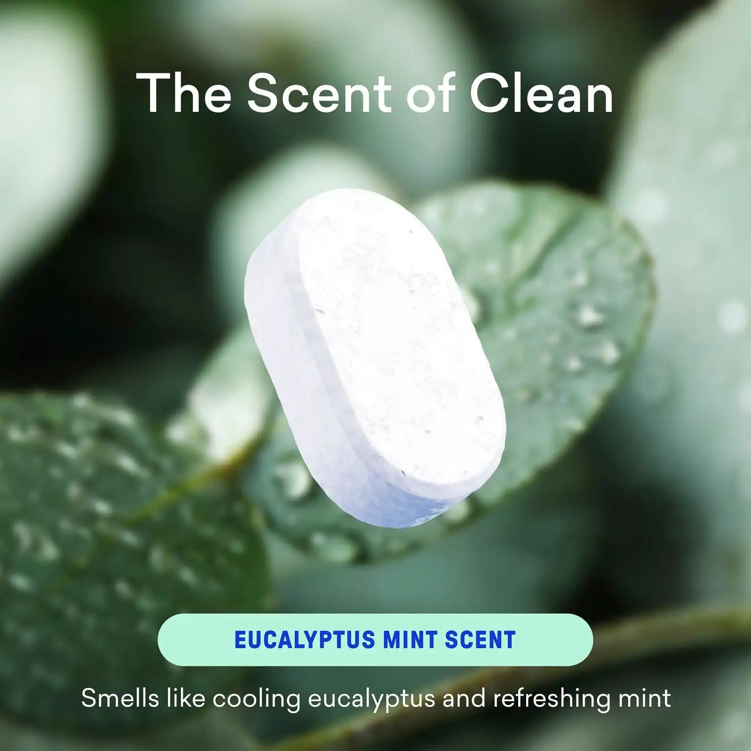 bluelandonline.it.com